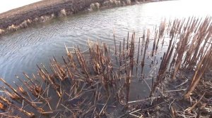 Рыбалка на ахтубе Весной