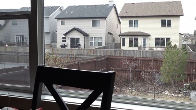 SONY FDR-AX700 ZOOM TEST .. смотреть онлайн