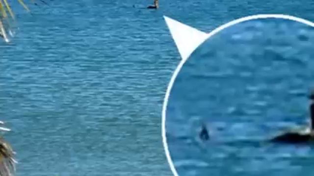 Loch Ness Monster смотреть онлайн