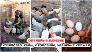 ?Октябрьские заботы в деревне: куры? отопление? и урожай ??
