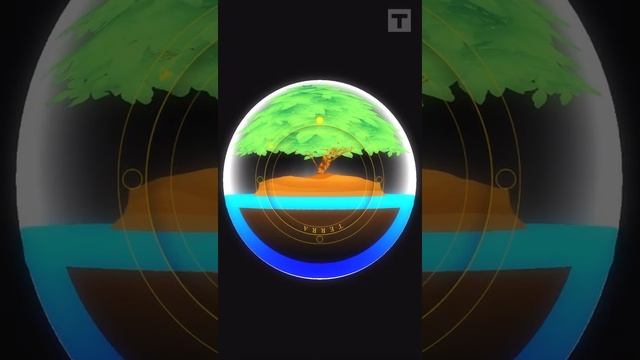 Ali Week 9 HW - Springbreak Gameplay смотреть онлайн