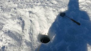 Рыбалка на окуня апрель 2024 (Озеро Гудке, Плато Путорана, г.Норильск)
