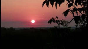 Марк Бернес-5