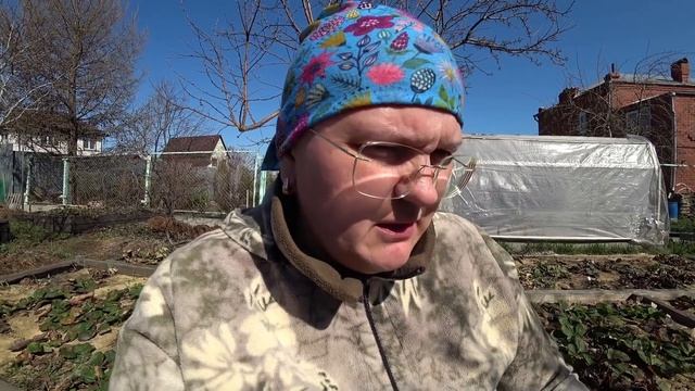 Откуда сорняки в огороде и что с ними делать?
