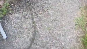 Скважина заилилась.