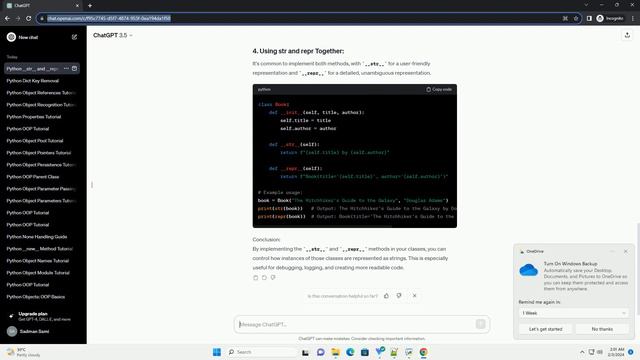 python object representation
