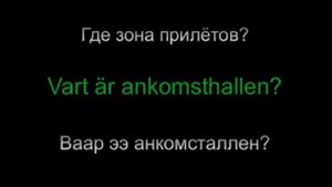 Шведский язык - разговорник. Урок 4 из 18. В аэропорту.