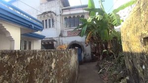 #1 Едем в Кералу! Жилье в Кочине, мужские единоборства и что лучше Гоа или Керала?