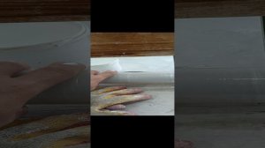 Барельеф лист папоротника (часть 1)