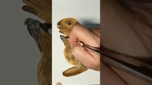 Как нарисовать бобра красками.