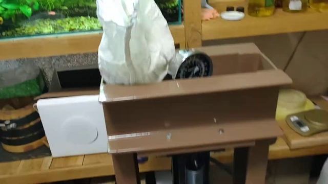 Мыть или не мыть? Вот в чём вопрос! Это о семенах перед выдавливанием. Подготовка сырья.