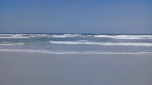 Морская змея на Персидском заливе ОАЭ УММ АЛЬ КУВЕЙН