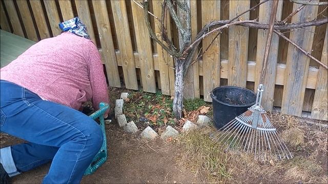 Хватило УМА  столько ВИНОГРАДA выкинуть.