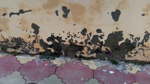 Проблемы с природным камнем (Дагестанским)