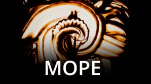 Сны ветвей - Море