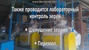 Производим Отруби Гранулированные