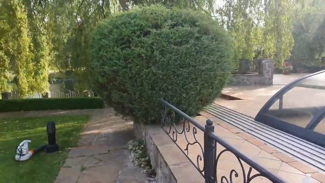 ЛЕТНЯЯ СТРИЖКА ЛИСТВЕННЫХ И ХВОЙНЫХ РАСТЕНИЙ. смотреть онлайн