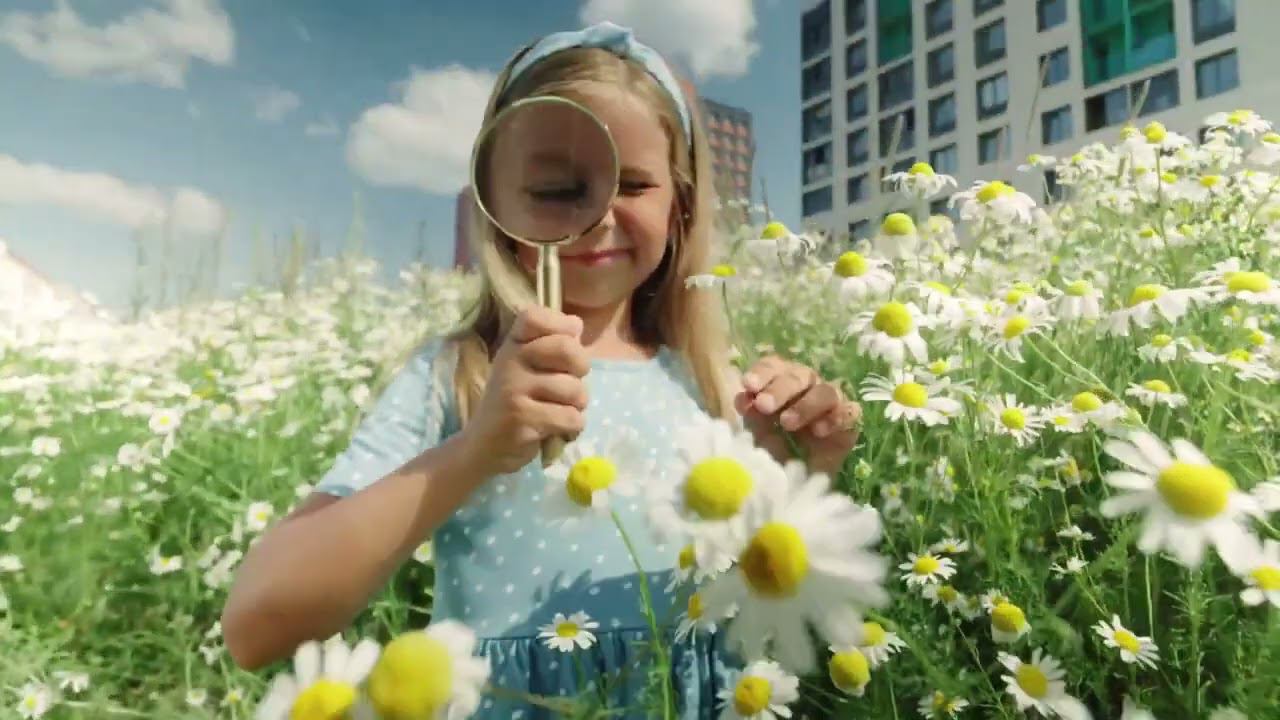 Новый формат городской жизни смотреть онлайн