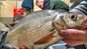 НА СТОЯК! МУЖИКИ ЛЮБЯТ ТАК НОЧЬЮ ЛОВИТЬ! ЗИМНЯЯ РЫБАЛКА С НОЧЁВКОЙ В АЭРОЛОДКЕ ч 2