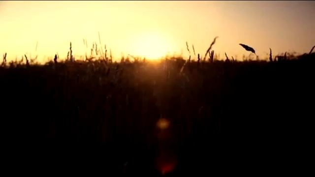 Таня, Таня, милая Танюша! Автор стихотворения Розалия Мартысьь смотреть онлайн