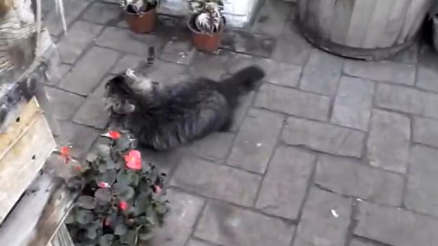 22.11.14. Тарханы, посещение усадьбы Лермонтова (2) смотреть онлайн