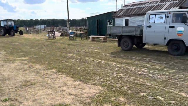Деревня 2023,подсолнухи, рога и копыта, Маралы!Прокатились по родным просторам и отдохнули, красота