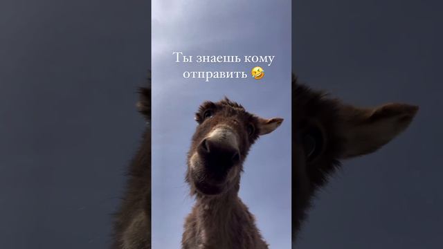 Ты знаешь кому отправить