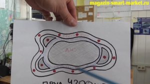 Инструкция по установке пластикового пруда из полиэтилена 2*3 и 3*4 метра. Ландшафтный дизайн.