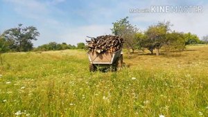 Вожу дрова юмз 6 турбо 2020