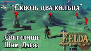 59 - Святилище Шим-Дагоз. Сквозь два кольца. Zelda Breath of the Wild. Sheem Dagoze Shrine