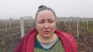 Бетонные столбы на шпалеру для малины и ежевики. Часть 2