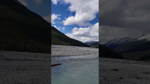 Bow River Jasper