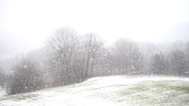 Entspannungsmusik zur Weihnachtszeit. Gitarre. 🌲 Рождественская немецкая музыка. Гитара.🌲