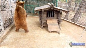 Геленджик достопримечательности - Сафари парк