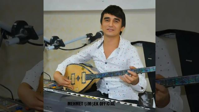 MEHMET ŞİMŞEK | AHTIM VAR BENİM #SAMSUNVEZİRKÖPRÜ55 смотреть онлайн