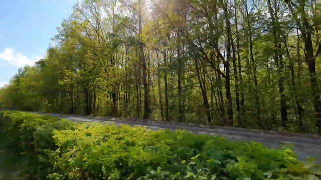 Новочебоксарск - город мечты