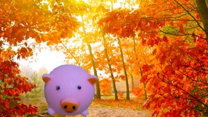 3 С ---- Svili Cover (3 Сентября)