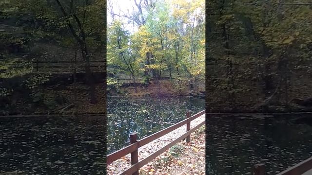 Крым, Симферопольский район. Озеро в заповеднике "Плачущая скала". смотреть онлайн