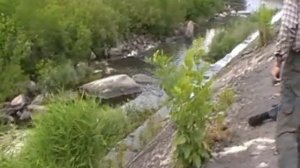 Водный поход по рекам Синюха и Южный буг, день 4