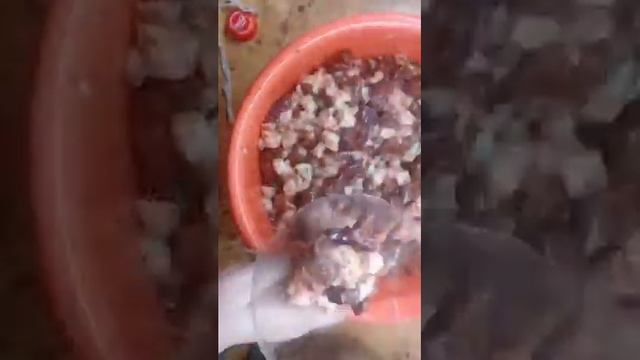 домашняя печеночная колбаса