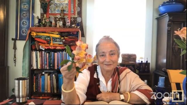 Лама Лина - наставления по Мандараве (часть 3) смотреть онлайн