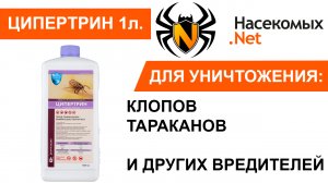 Вывести клопов и тараканов средством Ципертрин