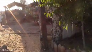 ?Третий день в ст. Благовещенской (Анапа), идем покупаем мороженое, едем на центральный пляж, музей