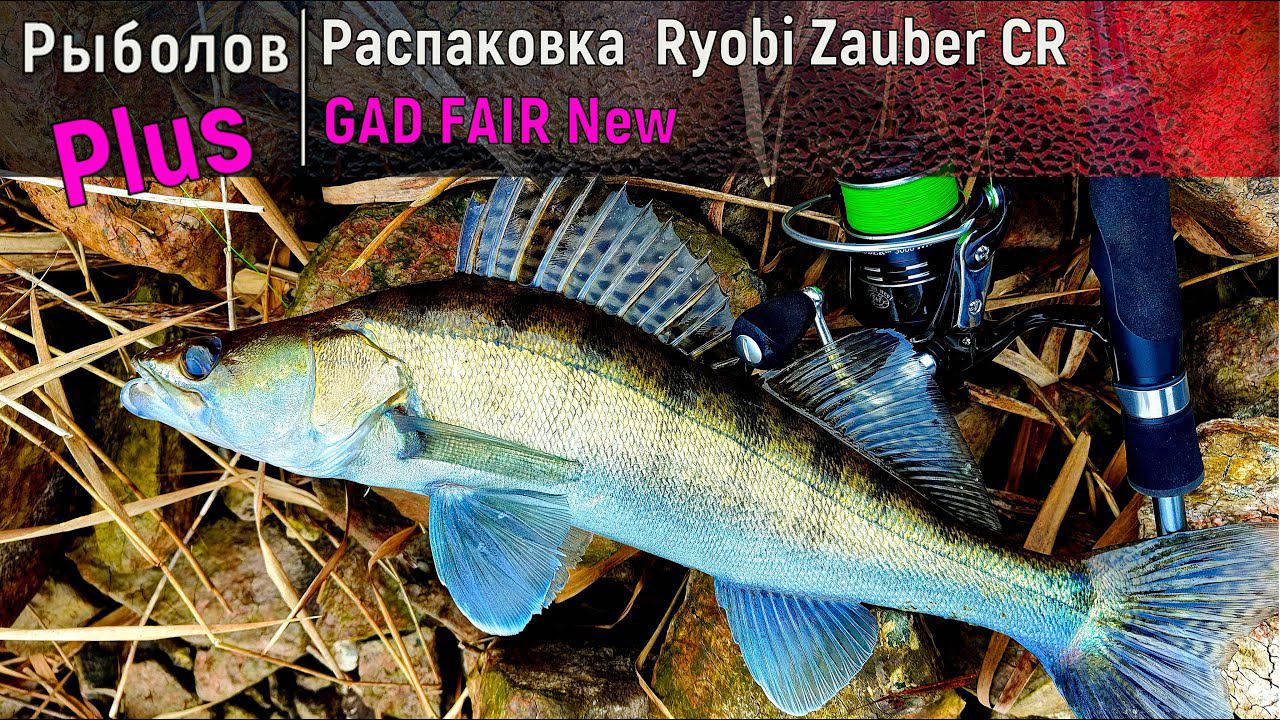 Распаковка  Ryobi Zauber CR и  GAD FAIR New