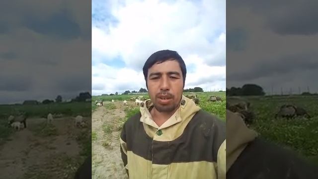 Картинки Курбан Хаит. Россия Байрам.?????????? смотреть онлайн