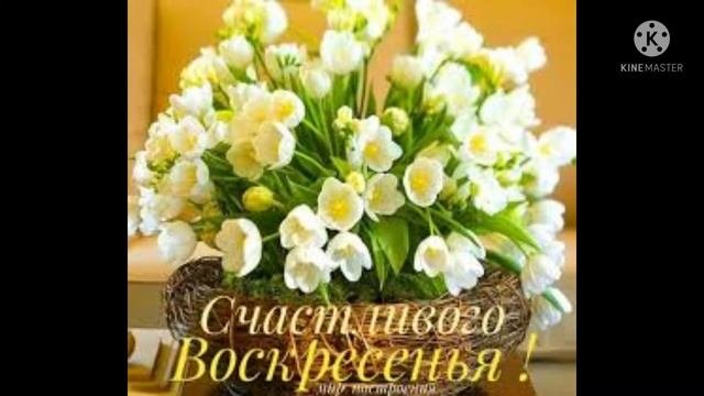 #Воскресный_день#видео_открытка#друзьям_с_любовью С Воскресным днём?  мои любимые друзья ❤и подруги