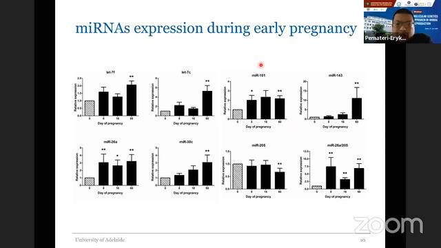 Webinar FapetUB : Molecular Genetics Approach in Animal Reproduction смотреть онлайн