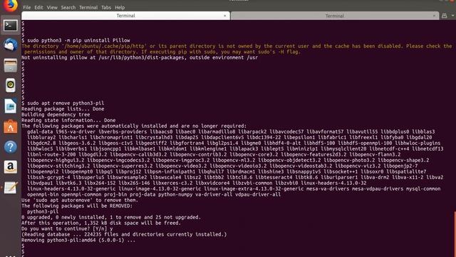 How to Detect and Remove Python Packages Installed via PIP and Apt