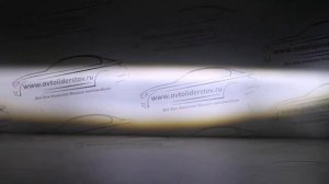 Двухцветные ПТФ 2110-15 Sal-Man (оригинал)