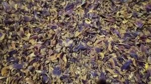 Бархатцы Чернобрывцы.Полезные свойства.